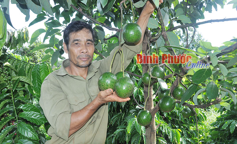 Triển vọng từ bơ Booth Triển vọng từ bơ Booth
