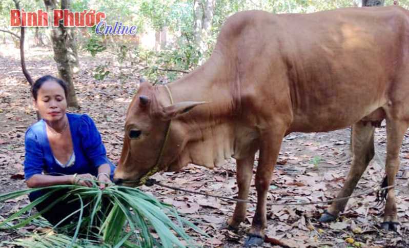 Đồng hành vì sự phát triển của phụ nữ DTTS Đồng hành vì sự phát triển của phụ nữ DTTS