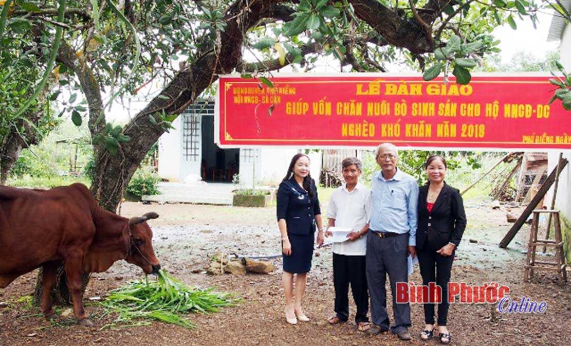 Long Hà chăm lo đời sống nạn nhân chất độc da cam Long Hà chăm lo đời sống nạn nhân chất độc da cam