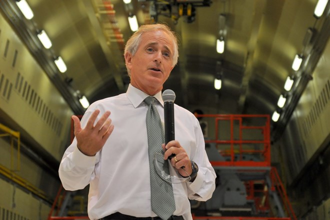 bobcorker21012016024221.jpg