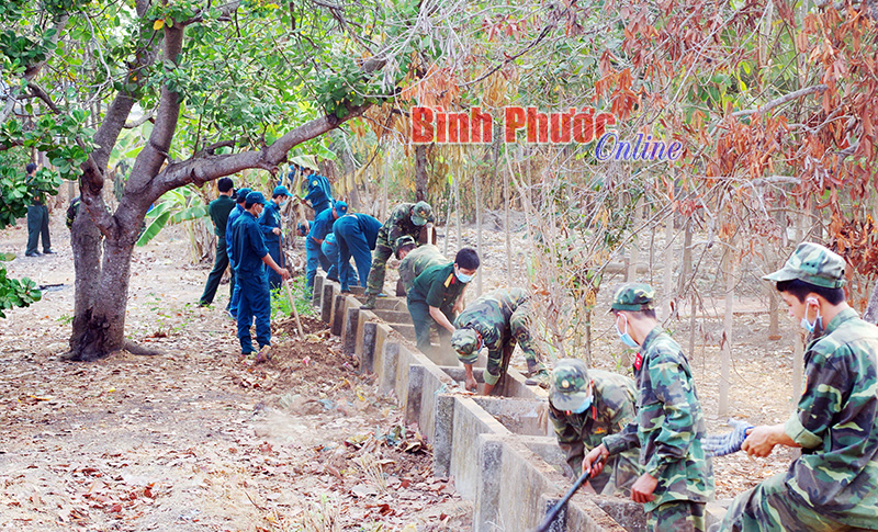 bobinh31.jpg