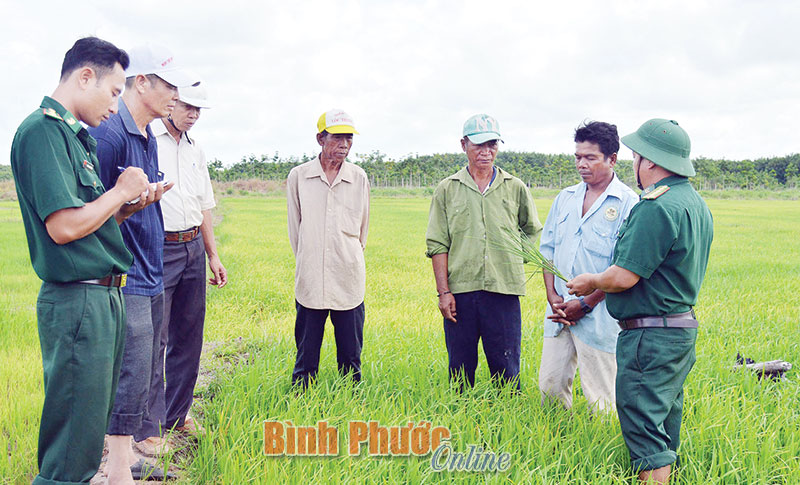 Bộ đội biên phòng tỉnh có 18 cán bộ người DTTS