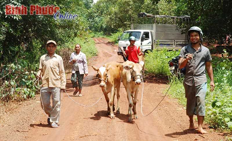 Những mô hình có hiệu quả từ nguồn vốn hỗ trợ sản xuất