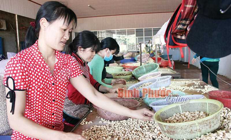 Bù Đăng quan tâm giải quyết việc làm cho người lao động Bù Đăng quan tâm giải quyết việc làm cho người lao động