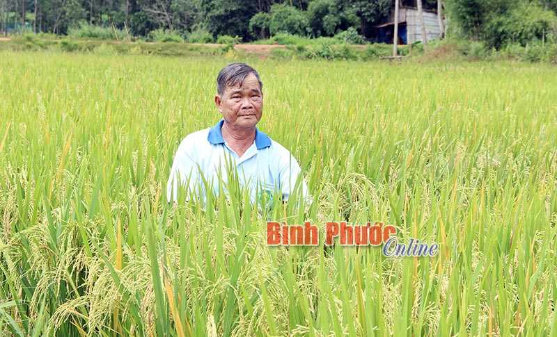 Bù Đốp đầu tư hơn 300 triệu đồng cho các mô hình khuyến nông Bù Đốp đầu tư hơn 300 triệu đồng cho các mô hình khuyến nông