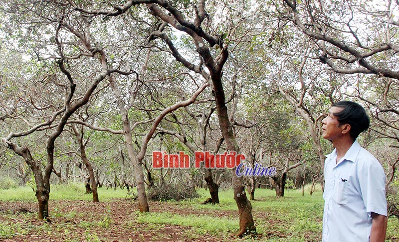 bugiamap07112017083053.jpg