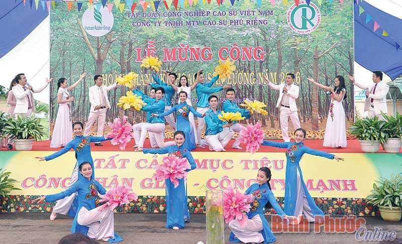 Cao su Phú Riềng ấm tình xuân Cao su Phú Riềng ấm tình xuân