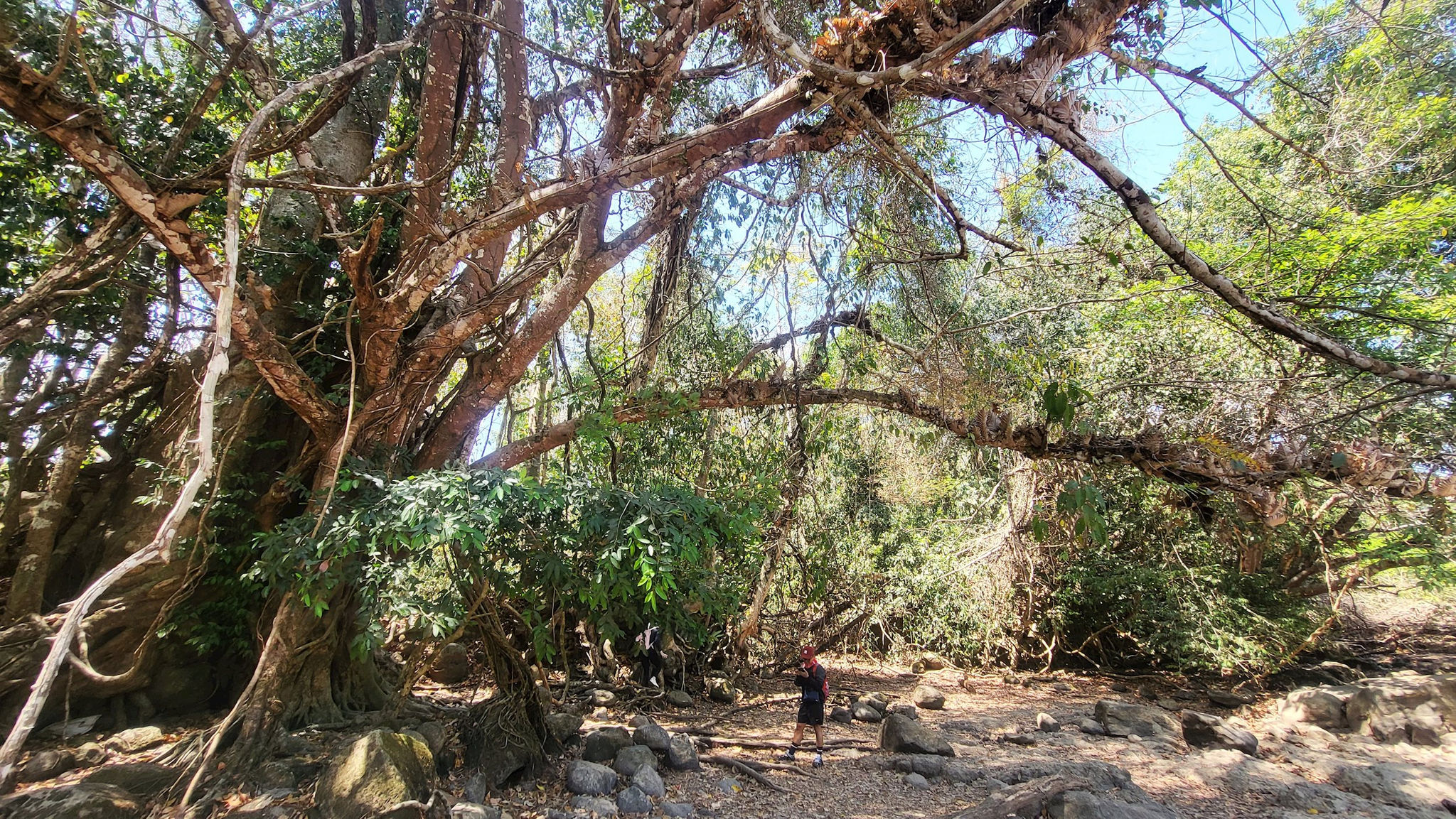 c19.jpg