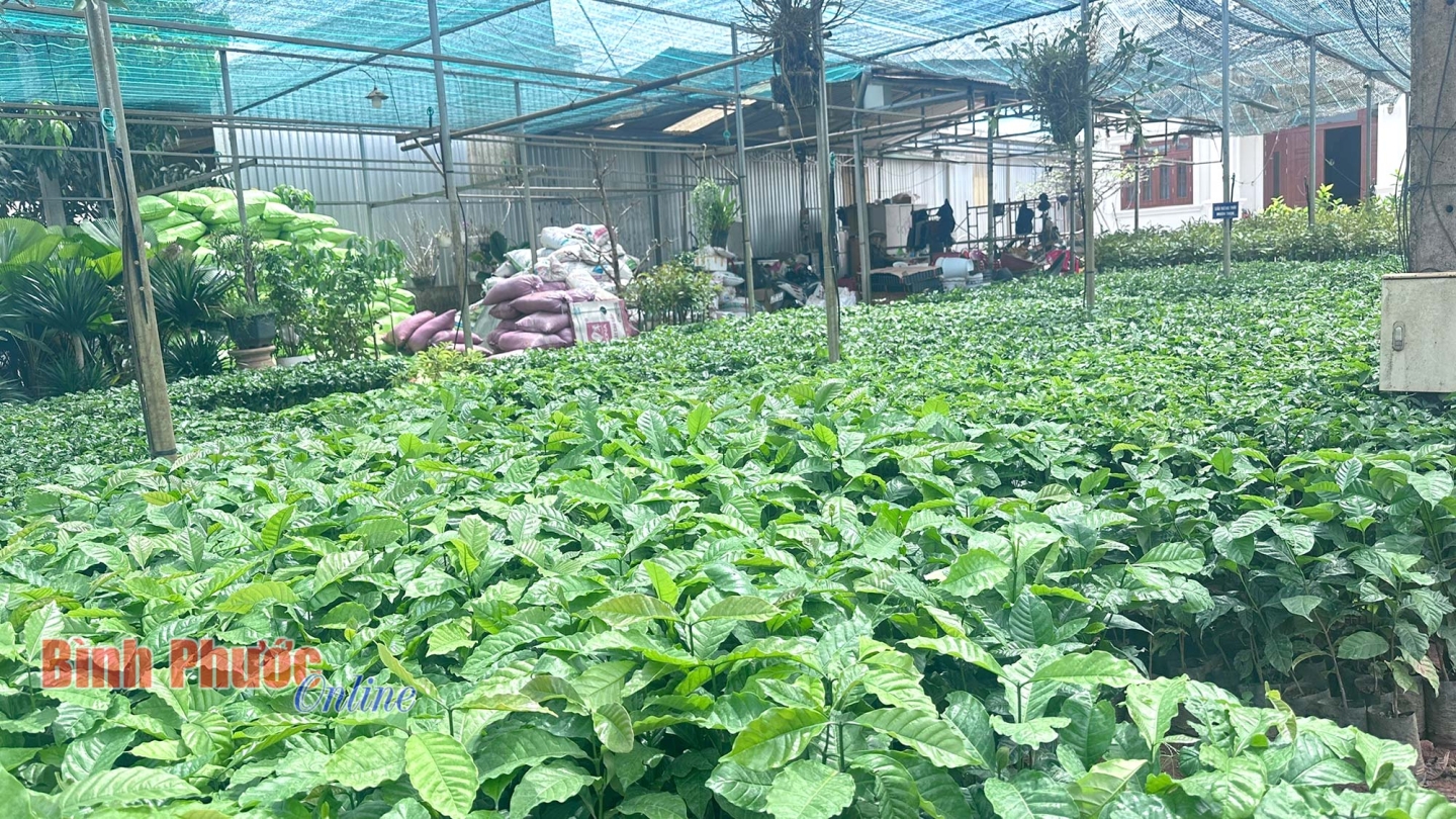 ca_phe_giong_20111222042025.jpg