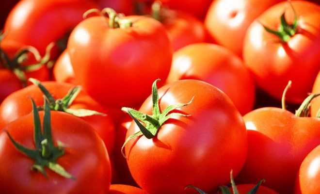Công dụng thần kỳ của cà chua với sức khỏe cánh mày râu Công dụng thần kỳ của cà chua với sức khỏe cánh mày râu