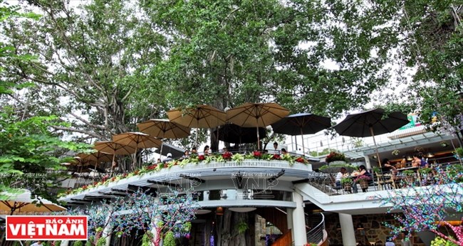 cafecaysi505102015025529.jpg