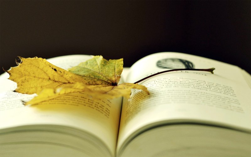 Cảm ơn “Sách hay” đã đồng hành