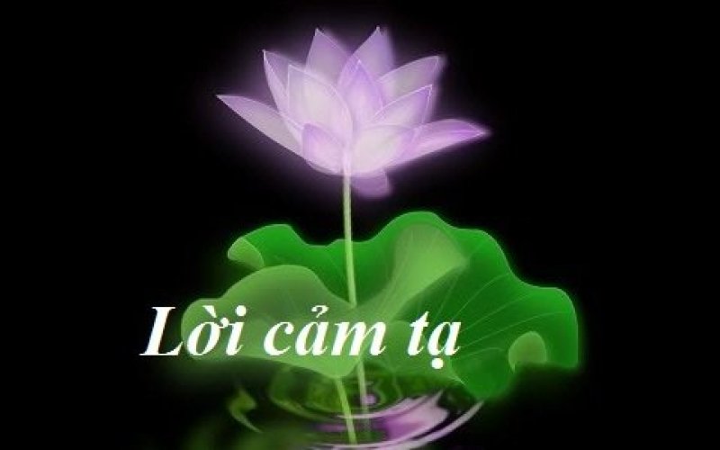 CẢM TẠ CẢM TẠ