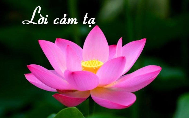 Cảm tạ
