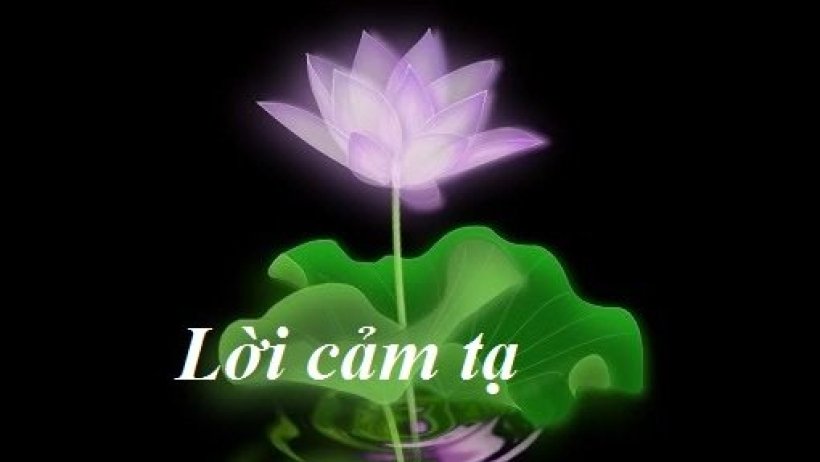 CẢM TẠ CẢM TẠ