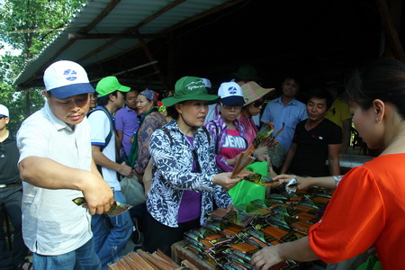 camau1104042014105905.JPG
