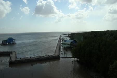 camau704042014105904.jpg