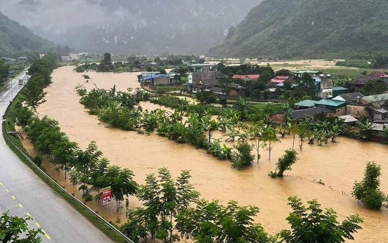 Cần có giải pháp căn cơ