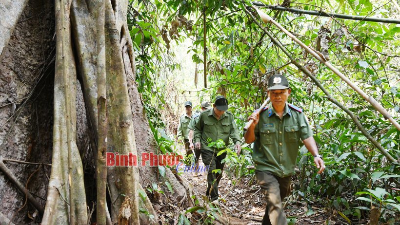 Căng mình canh lửa giữ rừng