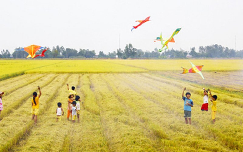 Cánh đồng tuổi thơ Cánh đồng tuổi thơ
