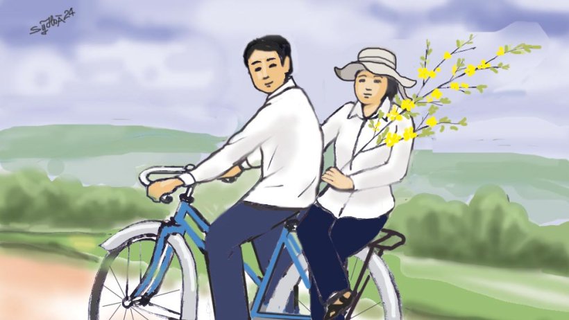 Cành mai ngày tết