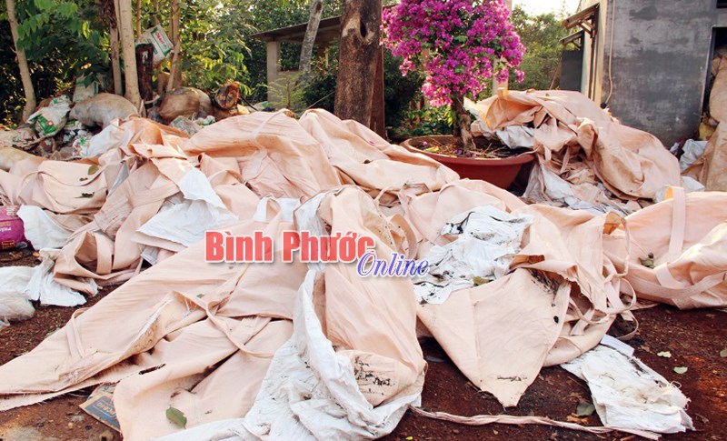 Cảnh giác với phân chuồng chưa qua xử lý Cảnh giác với phân chuồng chưa qua xử lý
