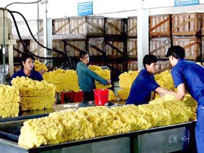 Xuất khẩu cao su vẫn phụ thuộc thị trường Trung Quốc
