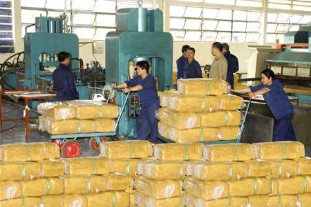 Giảm thuế xuất khẩu - gỡ khó cho cây cao su