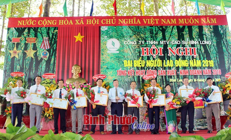 Cao su Bình Long quyết tâm vượt khó Cao su Bình Long quyết tâm vượt khó