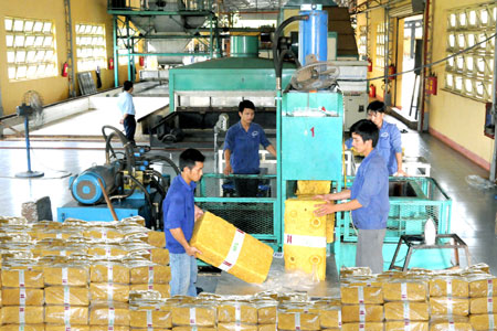Giá xuất khẩu cao su giảm hơn 31%