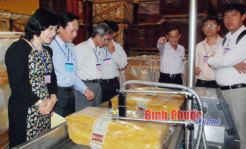 Cao su Phú Riềng ứng dụng khoa học - kỹ thuật vào sản xuất Cao su Phú Riềng ứng dụng khoa học - kỹ thuật vào sản xuất