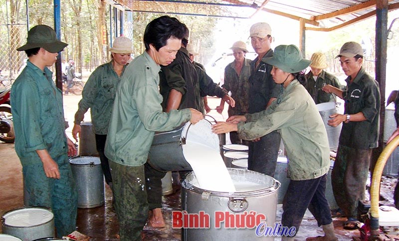 Cổ phần hóa - VRG tái cơ cấu để phát triển toàn diện, bền vững Cổ phần hóa - VRG tái cơ cấu để phát triển toàn diện, bền vững