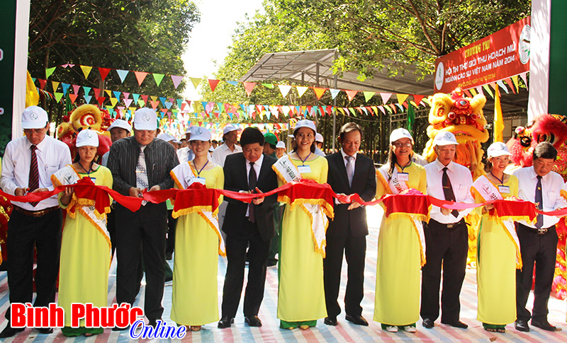 Cao su Phú Riềng đoạt giải nhì toàn đoàn thợ giỏi thu hoạch mủ Cao su Phú Riềng đoạt giải nhì toàn đoàn thợ giỏi thu hoạch mủ