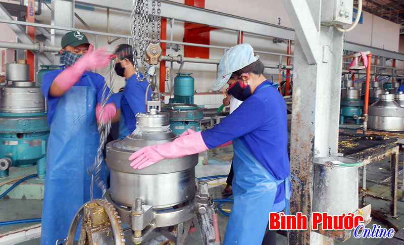 Xứng đáng danh hiệu “Sao vàng đất Việt” Xứng đáng danh hiệu “Sao vàng đất Việt”