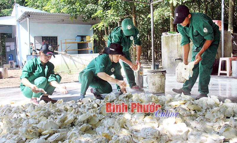 Phát triển ổn định nhờ tiết kiệm chi phí, hạ giá thành sản xuất Phát triển ổn định nhờ tiết kiệm chi phí, hạ giá thành sản xuất