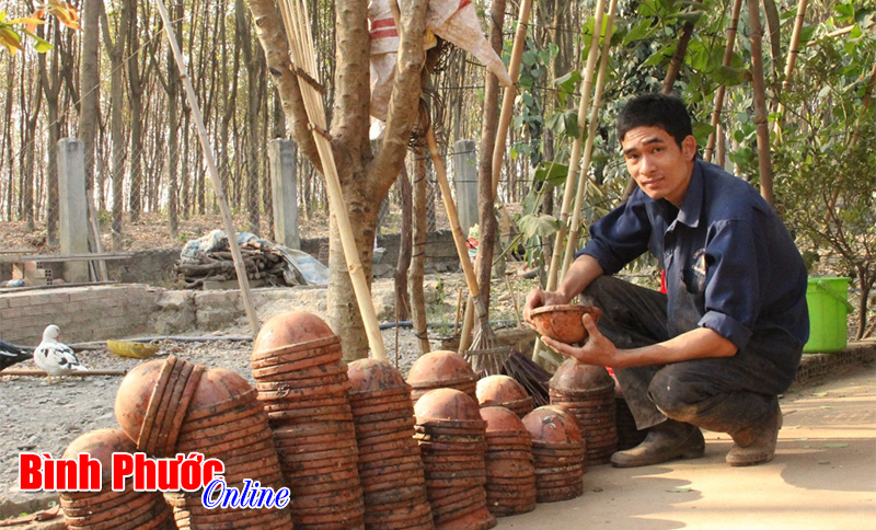 caosuthayao2.jpg