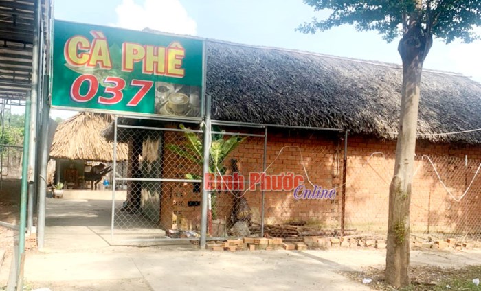 Bắt khẩn cấp chủ quán cà phê môi giới mại dâm Bắt khẩn cấp chủ quán cà phê môi giới mại dâm