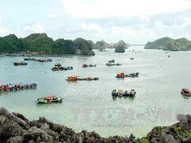 Cứu nạn an toàn 58 hành khách gặp sự cố ở biển Cát Bà Cứu nạn an toàn 58 hành khách gặp sự cố ở biển Cát Bà
