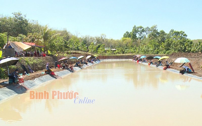 Câu cá - thú chơi lành mạnh