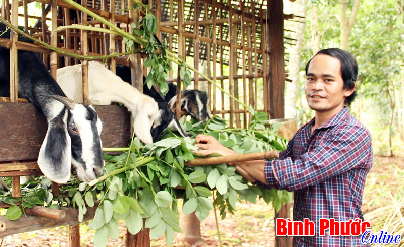 Câu lạc bộ pháp luật sát cánh cùng thanh niên Câu lạc bộ pháp luật sát cánh cùng thanh niên