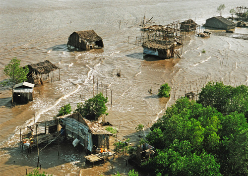 caumauchim.jpg