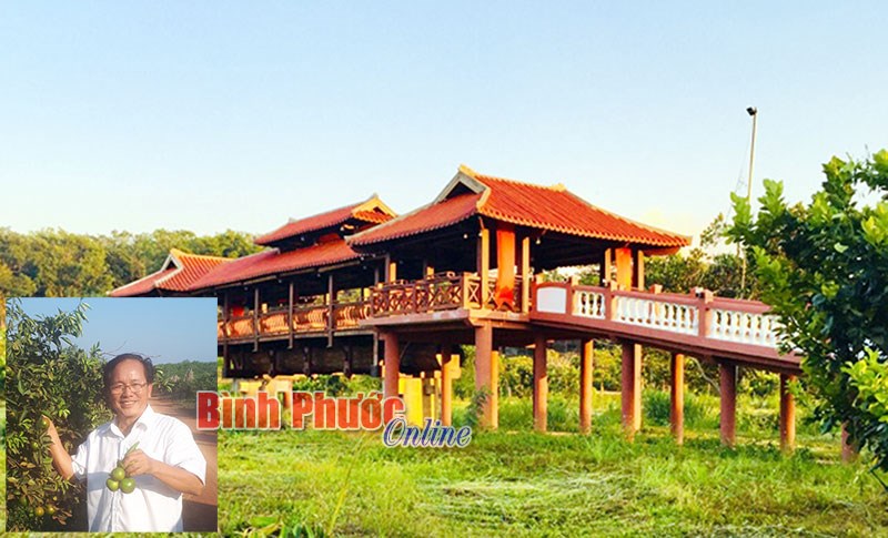 Người giữ màu xanh cho rừng