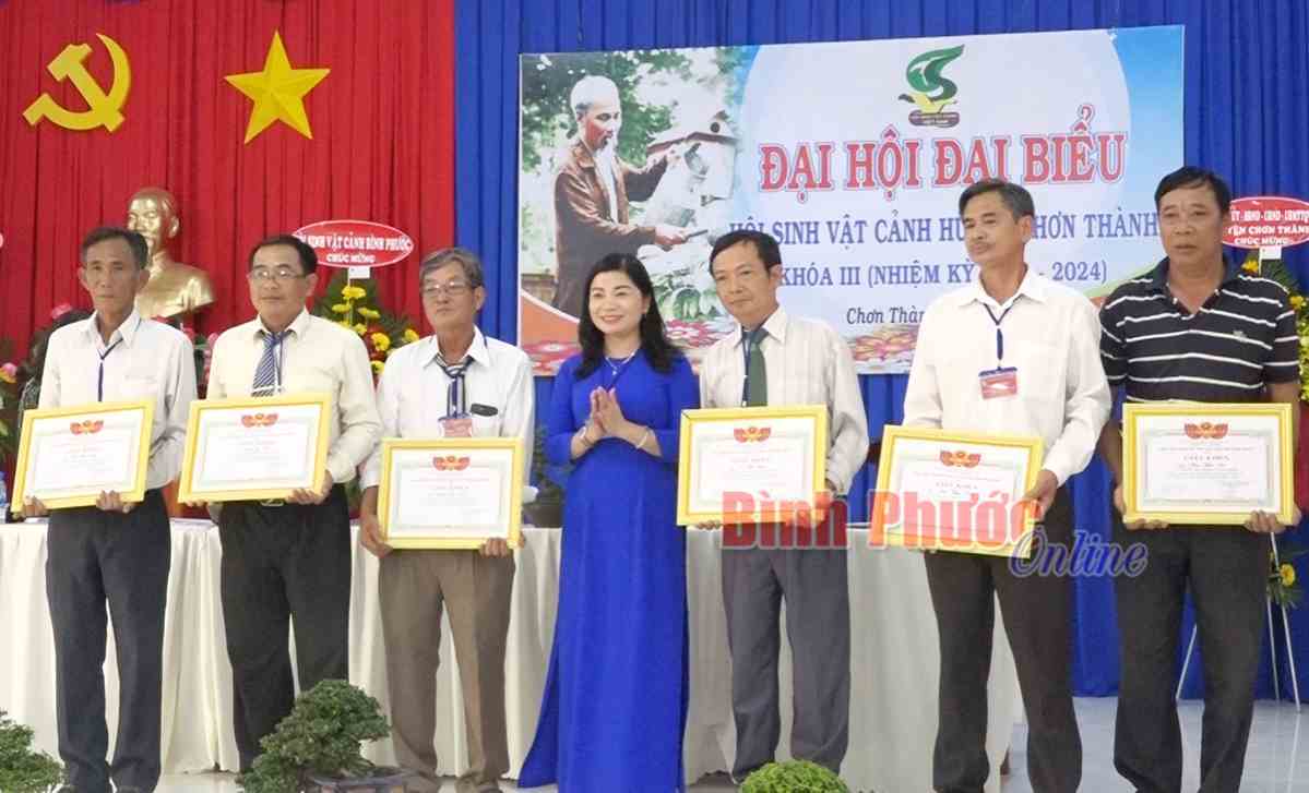 Hội Sinh vật cảnh Chơn Thành: 400 tác phẩm đạt tiêu chuẩn trưng bày Hội Sinh vật cảnh Chơn Thành: 400 tác phẩm đạt tiêu chuẩn trưng bày