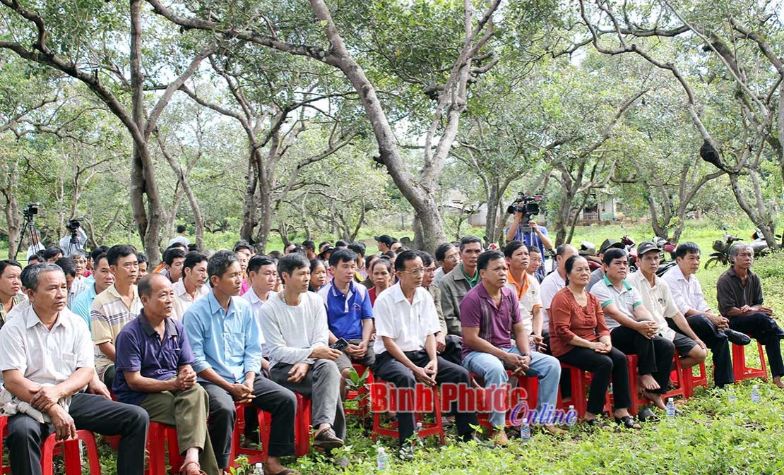 Hội thảo về cây điều thích ứng với biến đổi khí hậu Hội thảo về cây điều thích ứng với biến đổi khí hậu