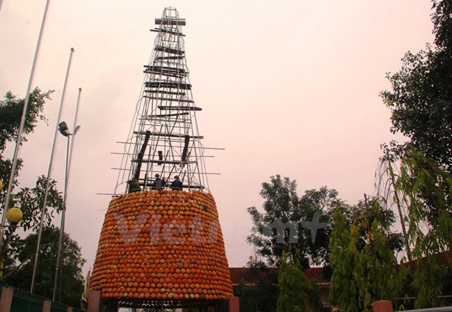 caythong22122017081449.JPG