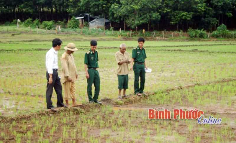 Trao 17 căn nhà đại đoàn kết cho hộ nghèo ở Thiện Hưng Trao 17 căn nhà đại đoàn kết cho hộ nghèo ở Thiện Hưng