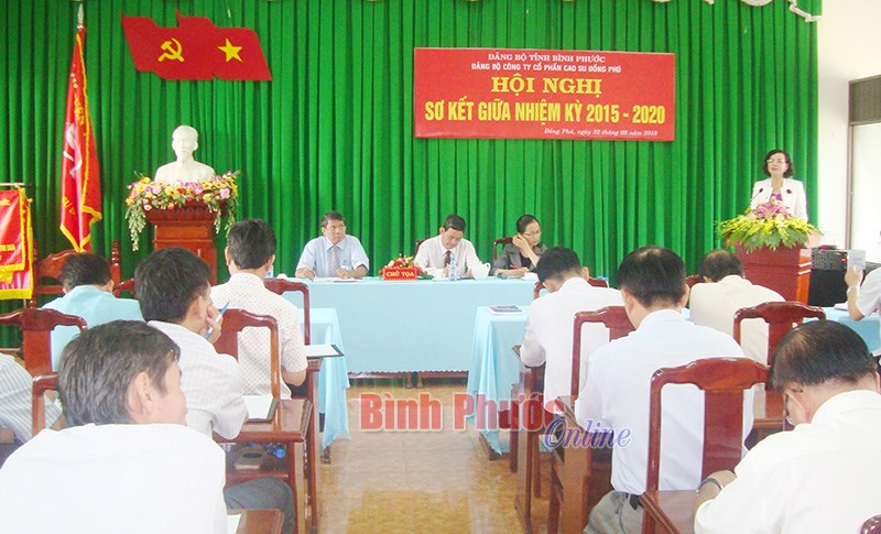 Cao su Đồng Phú: Thu nhập bình quân đầu người đạt 115% chỉ tiêu Cao su Đồng Phú: Thu nhập bình quân đầu người đạt 115% chỉ tiêu