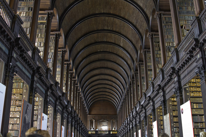 ceilings-dublin-1524195822140106057912514052018032309.jpg