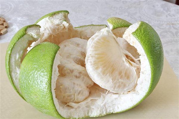 chamsoctoc3.jpg