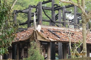 Đền thờ Lê Lai ở tỉnh Thanh Hóa bị lửa thiêu rụi Đền thờ Lê Lai ở tỉnh Thanh Hóa bị lửa thiêu rụi